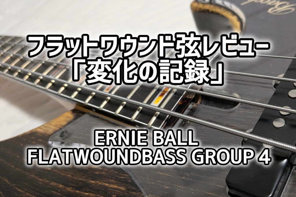 アーニーボールフラットワウンド弦レビュー記事の画像