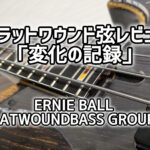 アーニーボールフラットワウンド弦レビュー記事の画像